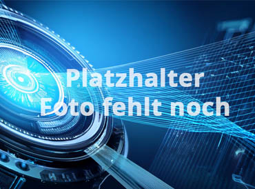 Ziehsteine